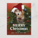 Zoek naar gekleurde achtergrond briefkaarten Kerstmis