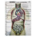 Zoek naar anatomie notitieboeken Organen