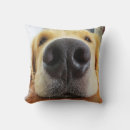 Zoek naar doge kussens Grappig