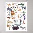 Zoek naar alfabet kinder posters Kwekerij