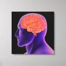 Zoek naar hersenen anatomie kunst Neurowetenschappen