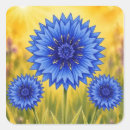 Zoek naar korenbloem stickers Botanisch