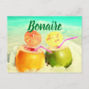 Zoek naar bonaire briefkaarten Vakantie