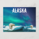Zoek naar aurora borealis briefkaarten Alaska