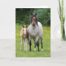 Zoek naar welsh pony kaarten Bob langrish
