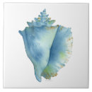 Zoek naar seashell tegels Schelpen