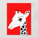 Zoek naar girafe briefkaarten Dier