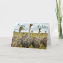 Zoek naar vergeetachtigheid kaarten Humor