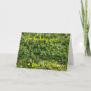 Zoek naar st de dag van het klopje Groen
