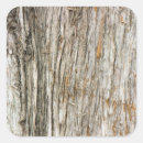 Zoek naar boomstam stickers Hout