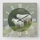 Zoek naar landbouwers klokken Schapen