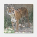 Zoek naar dierentuin magneten Zoogdier