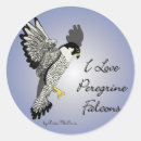 Zoek naar valken stickers Voor iedereen