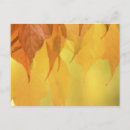 Zoek naar davidson briefkaarten Herfst
