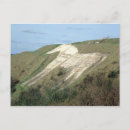 Zoek naar witte paarden briefkaarten Foto
