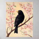 Zoek naar merel posters Natuur