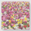 Zoek naar tulpen onderzetters Bloemen