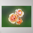 Zoek naar roze achtergrond kunst Geel