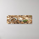 Zoek naar salamander kunst Gecko