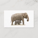 Zoek naar elephant visitekaartjes Baby