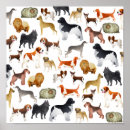 Zoek naar cute chihuahua kunst Elk persoon