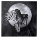 Zoek naar kraai tegels Raven