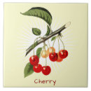 Zoek naar kersen tegels Keuken