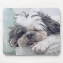 Zoek naar shih tzu muismatten Hond