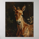 Zoek naar veulen posters Foel