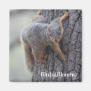 Zoek naar grappige eekhoorn magneten Boom