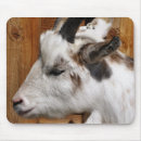 Zoek naar geiten muismatten Schattig