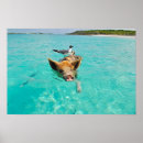 Zoek naar varkens posters Voor haar