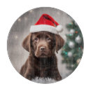 Zoek naar keukengerei Grappig