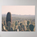 Zoek naar woestijn cactus kunst Cacti