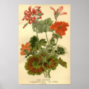 Zoek naar rode geranium posters Elk persoon