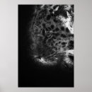 Zoek naar zwarte jaguar posters Elk persoon