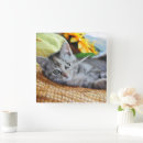 Zoek naar baby klokken Kat