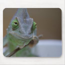 Zoek naar chameleon muismatten Grappig