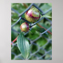 Zoek naar weg posters Rood