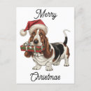 Zoek naar witte hond briefkaarten Rood