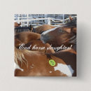 Zoek naar paarden buttons Pony