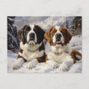 Zoek naar saint bernard briefkaarten Puppy