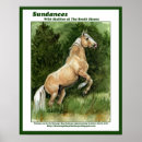 Zoek naar palomino paard posters Groen