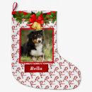 Zoek naar hond foto kerstsokken Kat