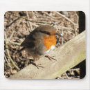 Zoek naar robin muismatten Dieren