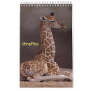 Zoek naar giraffe kalenders Dieren