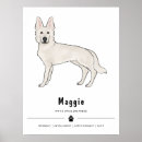 Zoek naar witte herder posters Hond
