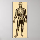 Zoek naar skeletten posters Zwart