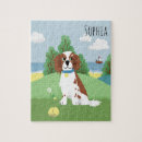 Zoek naar springer spaniel puzzels Hond