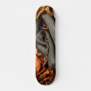 Zoek naar slangen skateboards Voor kinderen